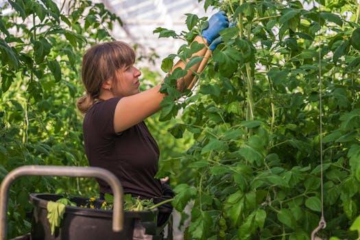 Beyond the Barn Door: Reimagining Learning at Fairview Gardens Education Farm