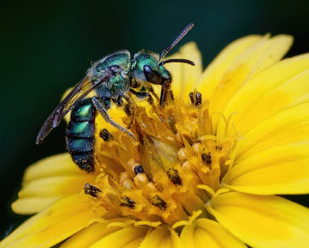 Driving Tomorrow’s Roads: How AI is Electrifying Automotive Sustainability