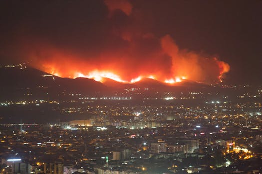 Beyond the Smoke Alarm: Cultivating a Culture of Fire Resilience