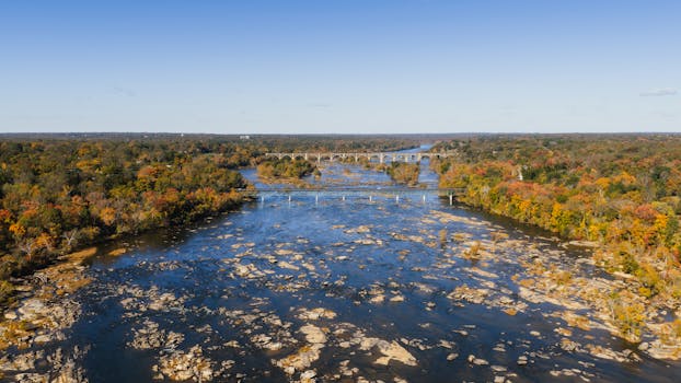 Virginia’s Peculiar Parchments: Decoding the Commonwealth’s Oddest Laws