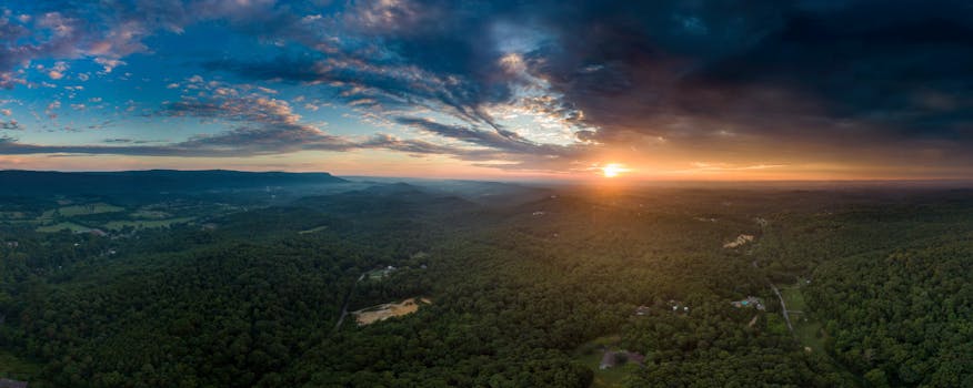 image_1769068509_1