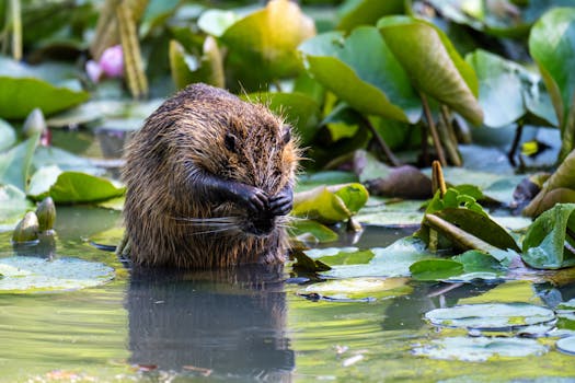 Unlocking the Best Deals: Your Insider Look at Car Insurance in Beaver Dam, KY