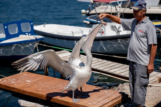 Your Digital Key to Pelican Preserve: Navigating the Resident Login Experience