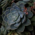 Unlocking the True Power of Retention: It’s More Than Just Keeping Customers