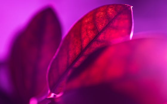 image_1769098092_1