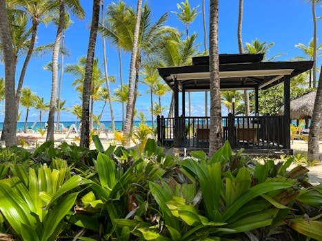 Beyond the Brochure: Deconstructing the Lifestyle Resort Experience in Punta Cana, Dominican Republic