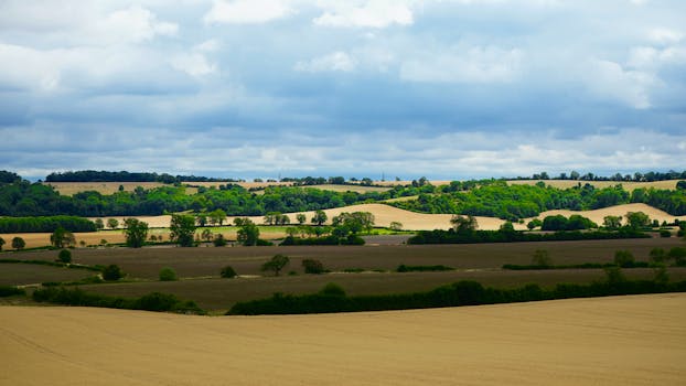 Unpacking Asbury Health and Rehabilitation Center: More Than Just a Place to Recover