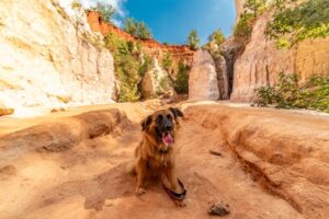 Navigating the Neurological Frontier: Unveiling Cranial Technologies in Providence