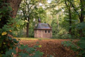 Beyond the Lecture: Cultivating Impact with Education Speakers