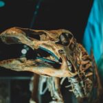 Mastering History Education: Where and How to Make It Stick